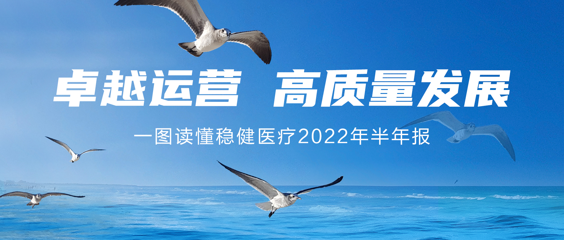 一图读懂888官网2022年半年报