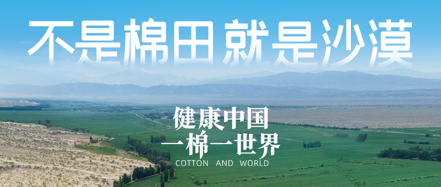 链接世界，引领健全生涯，888官网集团受邀亮相首届链博会